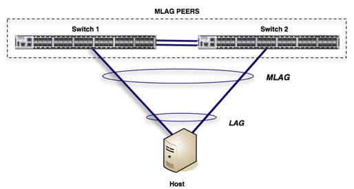 Arista Multi-Chassis Link Aggregation